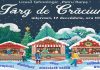 Târgul de Crăciun al Liceului Tehnologic «Petru Rareș»