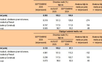 Bacăul accelerează în topul salarial al Moldovei: industria trage județul înainte