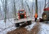 Iarna, când pădurea muncește pentru oameni