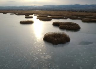 Lacul Galbeni înghețat – Splendoarea înmărmurită a naturii