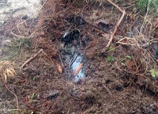 Amendă de 100.000 de lei aplicată unui operator din industria petrolieră după o poluare în fond forestier