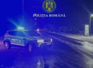 Percheziții într-un dosar privind exploatarea și transportul ilegal de material lemnos. Nouă persoane, audiate