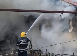 Incendii în județul Bacău: intervenții în Gârleni și Pârgărești, animale salvate din flăcări