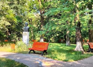 Primăria Onești începe campania de dezinsecție. Tratamentele vor avea loc pe timpul nopții, între 27 iulie și 4 august