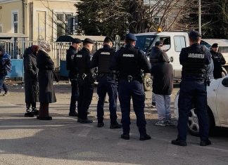 Zona de flori din preajma Vivariului, desființată de Primărie sub supravegherea jandarmilor