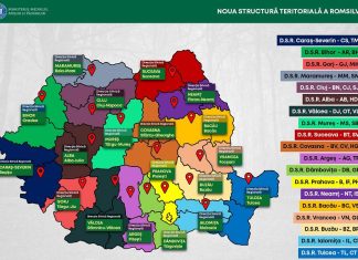 Guvernul a aprobat reorganizarea Romsilva: Direcțiile Silvice Vaslui și Bacău vor fi comasate într-o structură regională cu sediul la Bacău