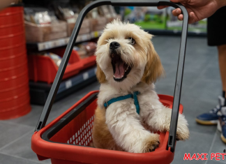 MAREA DESCHIDERE MAXI PET BACĂU! ÎN 14 – 15 MARTIE, PRINDE 20% REDUCERE LA TOATE PRODUSELE!