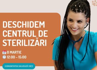 Doctorița Berbece va steriliza câini și pisici. Se deschide Centrul de Sterilizări Bacău