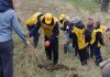 Volunteers plant trees near Comănești in reforestation effort