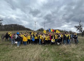 Puieți pentru viitor pe dealurile Văii Trotușului. Acțiune de reîmpădurire organizată în zona Comănești