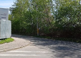 Vizibilitate periculoasă la intersecția dintre Aleea Parcului și strada Constantin Ene