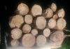 Material lemnos confiscat de polițiștii din Dărmănești