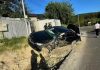 Imagini video surprind momentul dinaintea accidentului de pe DN2G: tânăr de 19 ani, filmat în timp ce depășește pe linie continuă înainte de impact