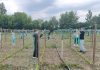 Viitorii agronomi ai județului, la școala cercetării: elevi din Răchitoasa, două zile de practică la Stațiunea de Legumicultură Bacău