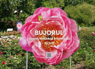 Corul „Madrigal și Universitatea de Științe Agronomice București lansează proiectul „Bujorul Madrigal”, primul soi românesc dedicat florii-simbol a României
