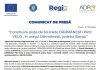 Comunicat de presă