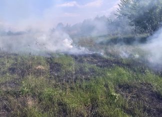 92 de intervenții și fără incidente majore: bilanțul pompierilor din Bacău în minivacanța de 1 Mai
