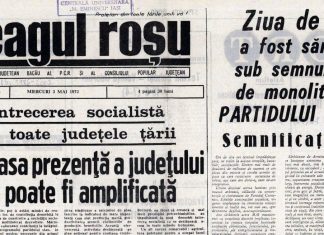 Județul Bacău în economia României socialiste: bilanțul anului 1971 și începutul anului 1972