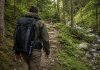 Vara la munte — ce nu trebuie să lipsească din rucsacul tău când intri în habitatul ursului