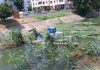 Întreținere la Lacul de Agrement din Bacău. Au început lucrările de cosire a stufului în zona Insulei de Agrement