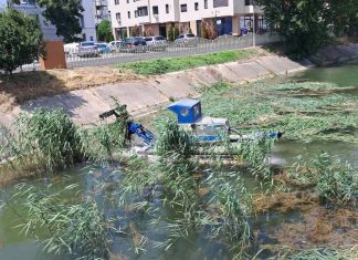 Întreținere la Lacul de Agrement din Bacău. Au început lucrările de cosire a stufului în zona Insulei de Agrement