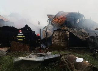 Incendiu puternic în Poduri: trei locuințe și mai multe anexe, afectate de flăcări. Animalele au fost salvate