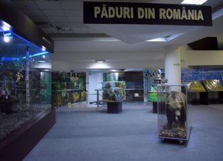 Muzeul de Științele Naturii din Bacău se închide temporar pentru modernizare. Vizitatorii îl mai pot vizita până pe 22 iunie