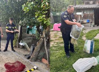 Percheziții în comunele Gioseni și Horgești. Polițiștii au ridicat peste 600 de metri de plase monofilament și unelte de pescuit interzise