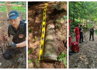 Muniție din Primul Război Mondial, descoperită într-o pădure din Oituz. Un proiectil de 150 mm a fost distrus prin explozie controlată