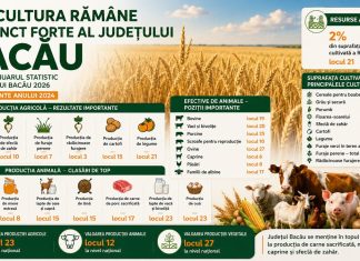 Agricultura rămâne unul dintre punctele forte ale județului Bacău. Locul 4 în România la producția de carne sacrificată și locul 8 la miere