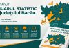 A apărut Anuarul Statistic al județului Bacău, ediția 2026. Cum arată județul