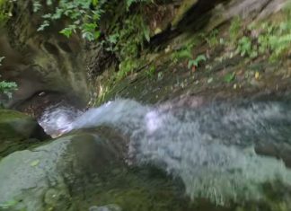 Cascada Berea – comoara ascunsă din Munții Tarcău, la câțiva kilometri de Comănești