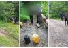 Doi bărbați, prinși în flagrant în timp ce furau gazolină dintr-o conductă OMV Petrom