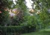 whatsapp-video-2026-07-17-at-9-14-58-pm-mp4