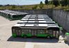Bacău Launches First Electric Bus Fleet in Public Transport Modernization