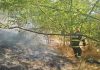 Incendiu de vegetație uscată la Viișoara. Patru hectare au fost afectate de flăcări