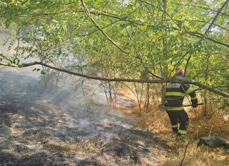 Incendiu de vegetație uscată la Viișoara. Patru hectare au fost afectate de flăcări