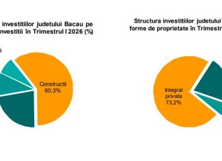 Investițiile în județul Bacău au scăzut cu peste 31% în primul trimestru din 2026