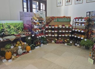 Cercetarea legumicolă din Bacău, prezentată la Ziua Recoltei de la București