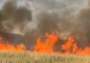 Peste 80 de hectare de vegetație uscată au ars în comuna Orbeni. Incendiul a fost stins după peste șapte ore de intervenție