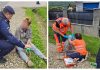 Jandarmii băcăuani au acordat primul ajutor unei femei găsite căzute pe marginea drumului, la Târgu Ocna