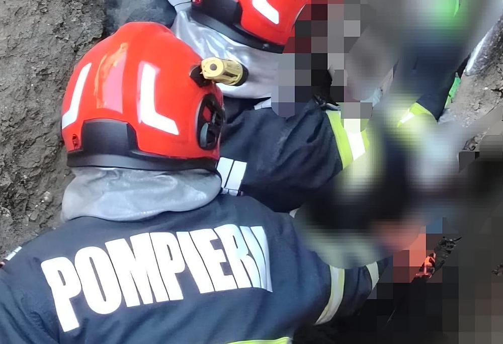 Controale la lemnarii din zona Dornei: 82 de sancțiuni, peste 74.000 de lei amenzi și 20,9 metri cubi de lemn confiscat