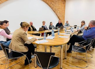 Consiliul Județean Bacău pregătește o strategie județeană pentru câinii fără stăpân