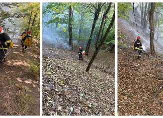 Incendiu în fondul forestier din Dofteana. Pompierii intervin pentru lichidarea focarelor